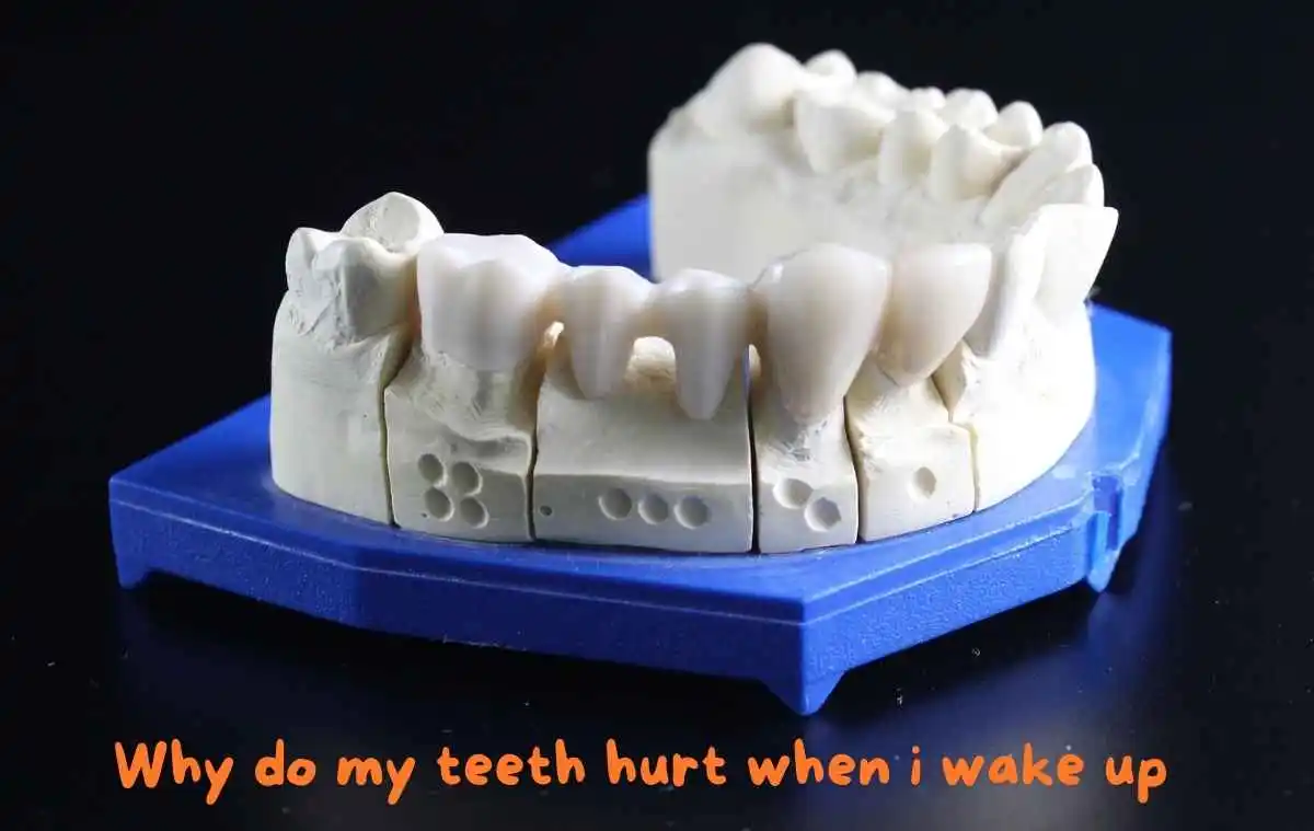 Why do my teeth hurt when i wake up